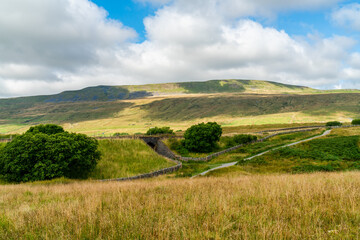 Fototapeta premium Yorkshire Dales, UK