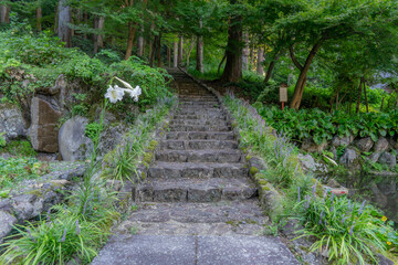 長滝白山神社・長瀧寺
