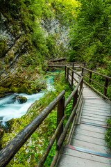 Vintgar Gorge near Lake bled in Slovenia
