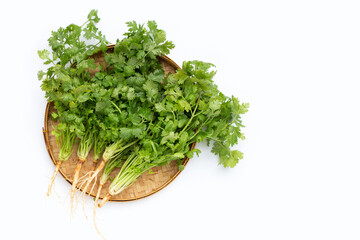 Fototapeta premium Fresh coriander in bamboo basket on white background.