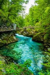 Turquoise Water in Vintgar Gorge in Slovenia. Europe Wild Landscape and Nature.