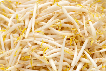 Bean sprouts background. Close up