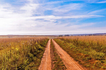 Fototapeta na wymiar landscape with a dirt road in a field in an autumn day