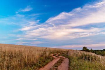 landscape with a dirt road in a field in an autumn evening