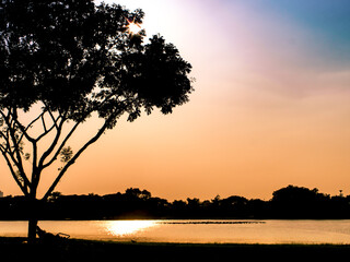 Sun setting over a peaceful lake under an tree silhouette background Romantic moment