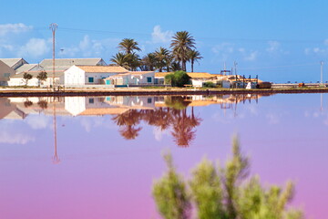 Nice landscape of stagnant lagoon for the production of salt in San Pedro del Pinatar, Murcia