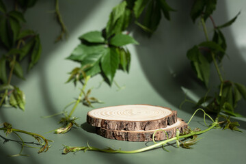 Natural round wooden stand for presentation and exhibitions on dark green background with shadow. Mock up 3d empty podium with green leaves for organic cosmetic product. Copy space.
