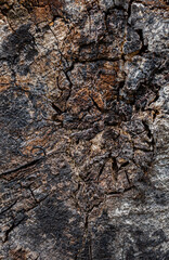 old and ugly wooden natural surface in dark color