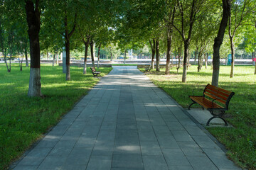 The sun shines on the trees and lawns of the city park