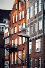 Fototapeta premium Hamburg | Winter | Nikolaifleet 