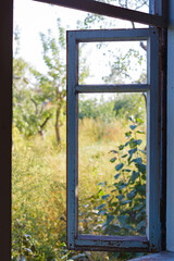 Vintage windows in an old house
