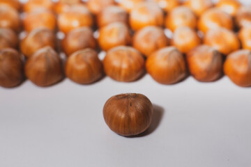 Nuts in shell, hazelnuts on a white background. heap or pile of nuts. Nuts background, healthy food