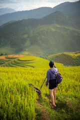 Fototapeta na wymiar Paddy rice terraces in countryside area of Mu Cang Chai, Yen Bai, mountain hills valley in Vietnam.