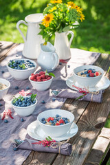 Healthy breakfast with granola and berries. Table in sunny garden.