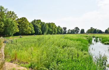 Fototapeta premium Abandoned ruined beach near the city