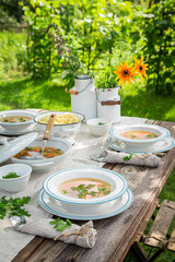 Homemade chicken soup served in the garden. Dinner in garden.