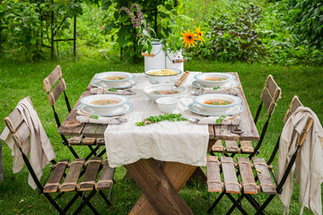 Fresh chicken soup made of vegetables. Soup in summer day.