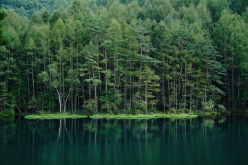 A scenic pond in the mountains at an altitude of 1,500 m in Nagano Japan.