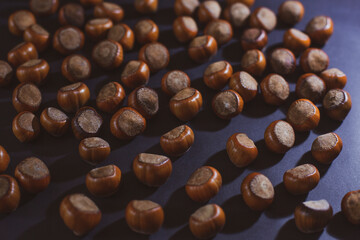 Nuts in shell, hazelnuts on dark background. heap or pile of nuts. Nuts background, healthy food