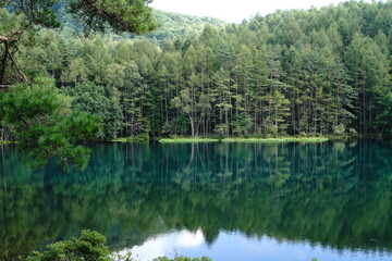Obraz premium A scenic pond in the mountains at an altitude of 1,500 m in Nagano Japan.
