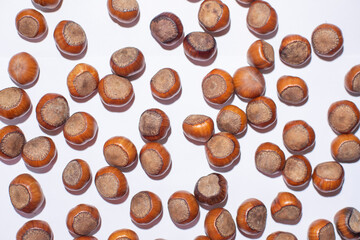 Nuts in shell, hazelnuts on a white background. heap or pile of nuts. Nuts background, healthy food