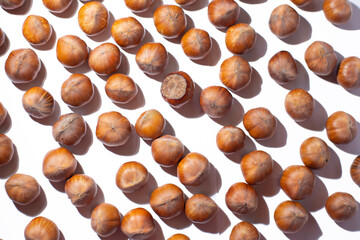 Nuts in shell, hazelnuts on a white background. heap or pile of nuts. Nuts background, healthy food