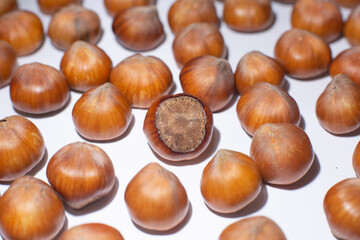 Nuts in shell, hazelnuts on a white background. heap or pile of nuts. Nuts background, healthy food