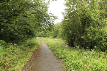 Obraz premium Paisaje montañoso