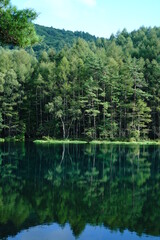 A scenic pond in the mountains at an altitude of 1,500 m in Nagano Japan.