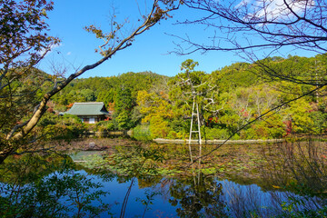 Japanese Shrine, Ryōan-ji, in Kyoto, Autumn season.