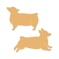 Set of cute little welsh corgi in different poses. Funny active dog. Happy pet side view.