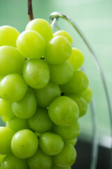 シャインマスカット