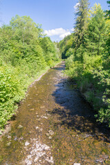 Stream of vistula river between trees near Czernianskie lake at summer time in Wisla, Poland.