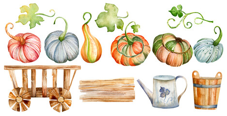 Autumn illustration. Watercolor set of pink, blue, orange and green pumpkins, pumpkin leaves, wooden cart, watering can and wooden bucket. Harvest, Thanksgiving, Autumn.