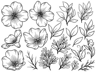Hand drawn flower sketch line art illustration set.