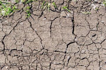 texture of the dry cracked ground