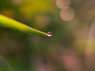 Droplet Close up