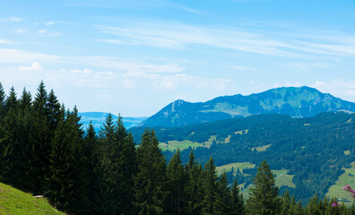 Idyllic landscape in the bavarian alps with view of the mountain sorgschrofen. Fresh green meadows and fir trees on a cloudy day. Mountain peaks in the background. Tannheimer valley, Austria