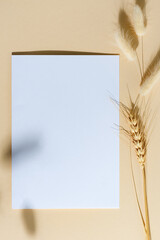 Mockup paper card with shadow on a beige background.