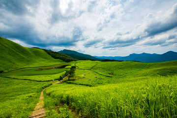 Obraz premium field and blue sky