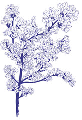 Vector illustration of lilac branch, botanical sketch for postcards, posters, notebooks .