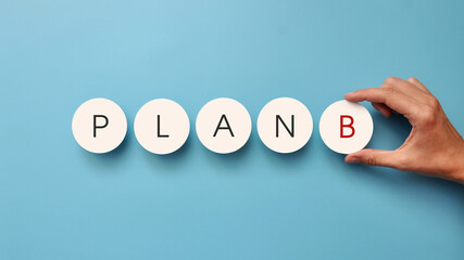 Choosing an action plan and strategy. Choosing a fallback option
