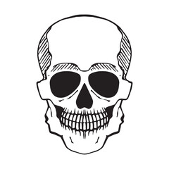 Human skull hand drawn graphic vector illustration, day of the dead, halloween. Isolated on white background 