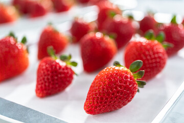 Chocolate dipped strawberries