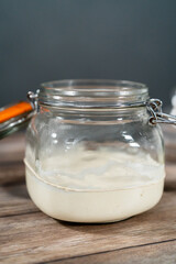 Sourdough starter