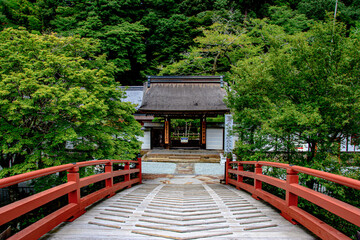 Naklejka premium japanese garden in the garden