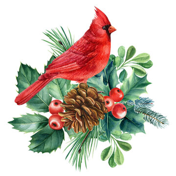 vintage christmas bird clip art