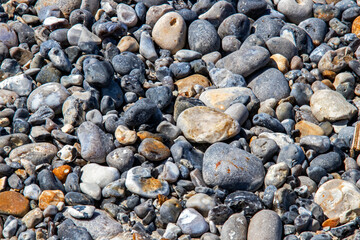 Cayeux-sur-mer. Plage de galets. Picardie. Somme. Hauts-de-France	