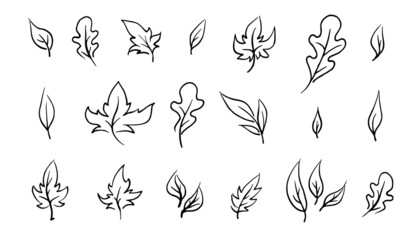 leaves Decoration line Drawing, sketch set vector illustration isolated on white background