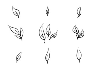 Line sketch drawing abstract leaves vector illustration set